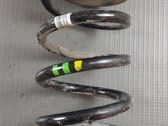 Rear coil spring