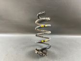 Rear coil spring