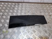 Rear door glass trim molding