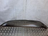 Front bumper lip