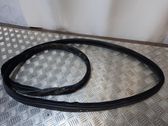 Front door rubber seal