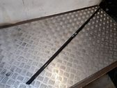 Rear door glass trim molding