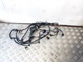 Front door wiring loom