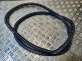 Rear door rubber seal (on body)