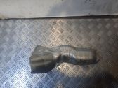 Exhaust heat shield