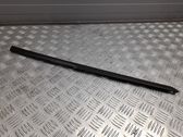 Dashboard trim