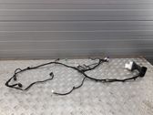 Front door wiring loom