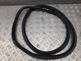 Front door rubber seal