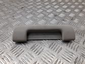 Front interior roof grab handle