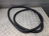 Rear door rubber seal (on body)