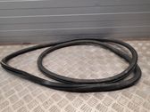 Front door rubber seal