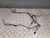 Other wiring loom