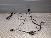 Front door wiring loom