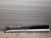 Listón embellecedor de la puerta delantera (moldura)