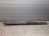 Rear sill trim cover