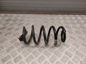 Rear coil spring