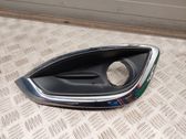 Front fog light trim/grill