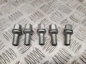 Nuts/bolts