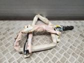 Airbag de toit