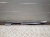 Rear door card trim