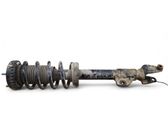 Front shock absorber with coil spring