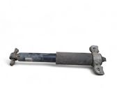 Rear shock absorber/damper