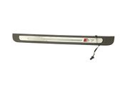 Front sill trim cover