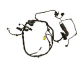 Front door wiring loom