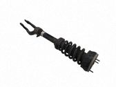 Amortiguador delantero con muelle espiral