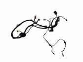 Front door wiring loom