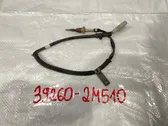 Exhaust gas temperature sensor