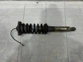 Rear shock absorber with coil spring