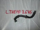 Linea/tubo/manicotto del vuoto