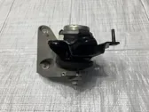 Engine mount vacuum valve