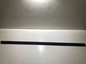 Front door trim (molding)