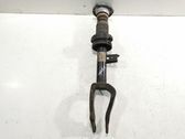 Front shock absorber/damper