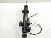 Rear shock absorber/damper