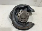 Rear wheel hub