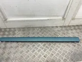 Front door trim (molding)