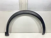 Fender trim (molding)