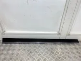 Apdaila priekinių durų (moldingas)