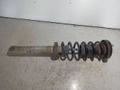 Rear shock absorber with coil spring