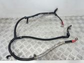 Wires (generator/alternator)