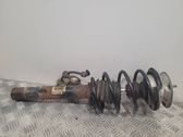 Front shock absorber/damper