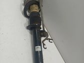 Front shock absorber/damper