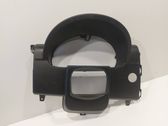 Dashboard trim