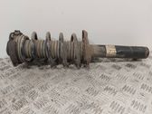 Front shock absorber/damper