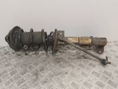 Amortiguador delantero con muelle espiral