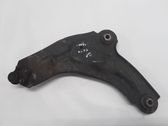 Front lower control arm/wishbone