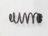 Rear coil spring